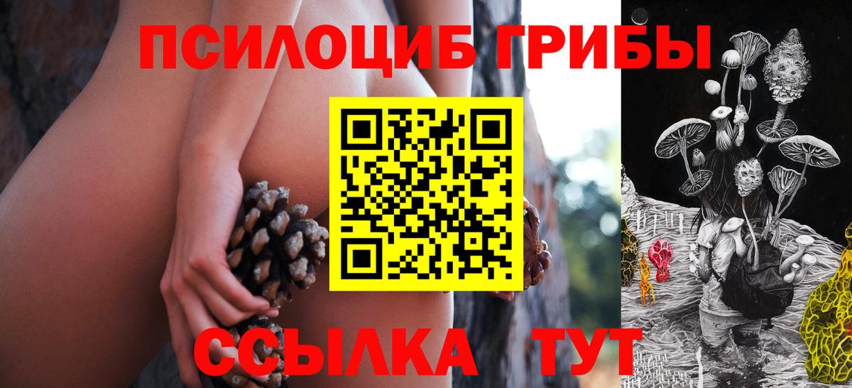 Тулун  Галлюциногенные грибы MAGIC MUSHROOMS  Вход с VPN 